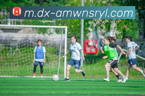 数据防护可视化